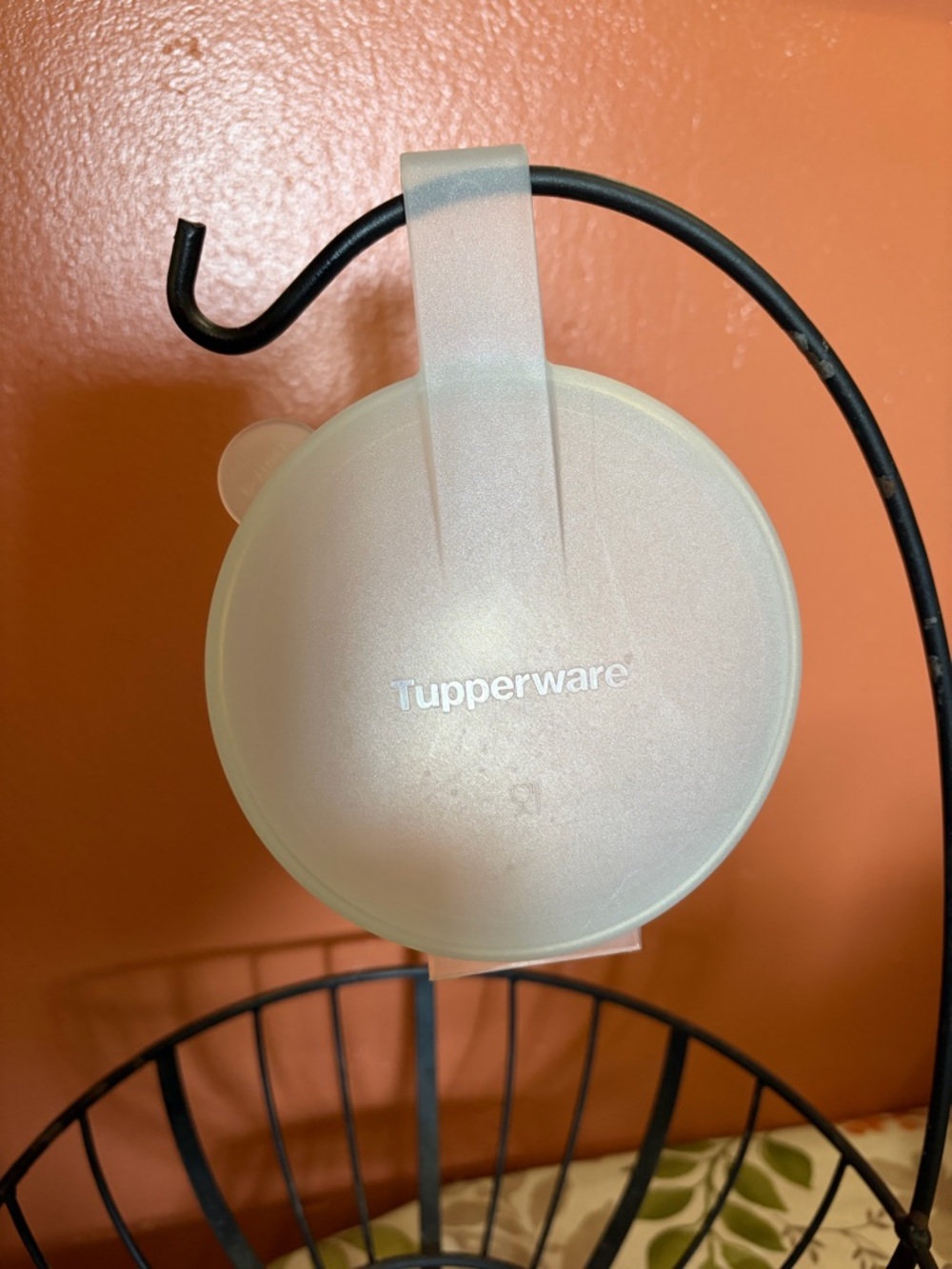 Tupperware Onion Keeper